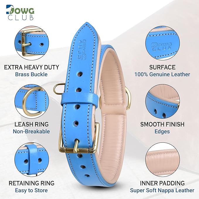 Leather Dog Collar for Medium Dogs, Blue, 1 Inch Wide, Genuine Leather, Heavy Duty with Soft Inner Padding, Comfortable and Durable (Medium (Fit Neck Size 14.5"-18.5"), Blue)