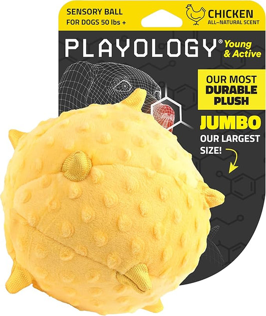 Playology Dog Toys | Puppy Toy Plush Sensory Ball for Dogs and Puppies for Dogs and Puppies | Jumbo Chicken Scented Toy - Easy to Clean and Made from Non Toxic Materials