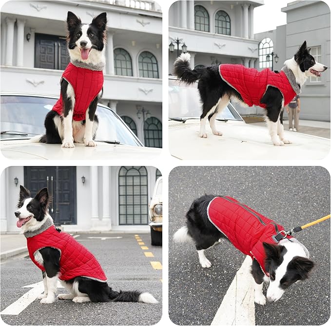 Warm Fleece Dog Coats with Durable Harness Buitl in D-Ring,Waterproof Puppy Jacket for Small Dogs,Dog Vest for Cold Winter,Red S