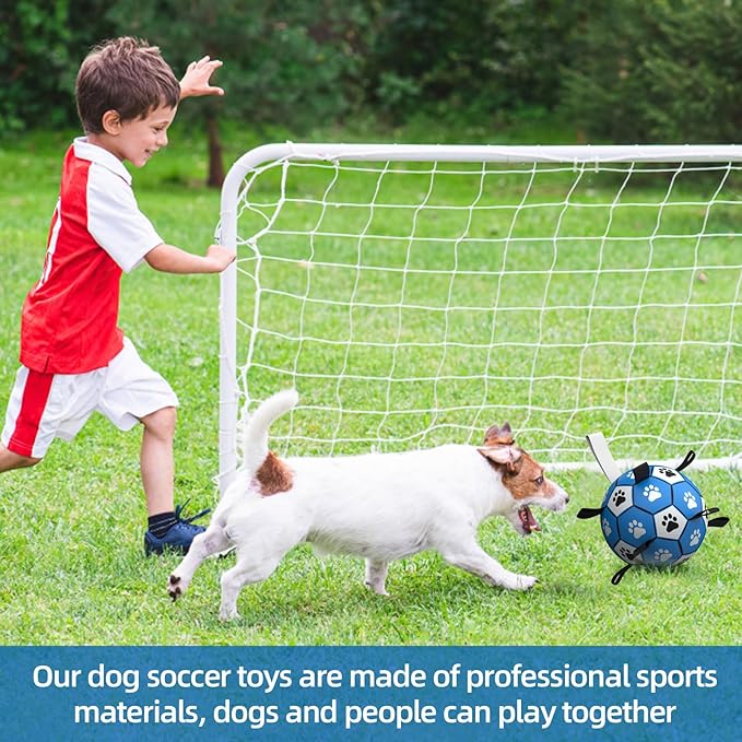 QDAN Dog Balls Toys, Soccer Ball with Straps, Balls for Dogs for Small Medium Puppy, Herding Ball Toy, Birthday Gifts (6 Inch)