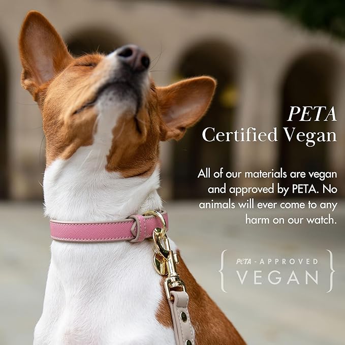 NINA WOOF Rio Vegan Leather Dog Collar - Padded Luxury Dog Collar with Adjustable Buckle - Collar for Dogs, Small Dogs and Large Dogs (Small, Pink)
