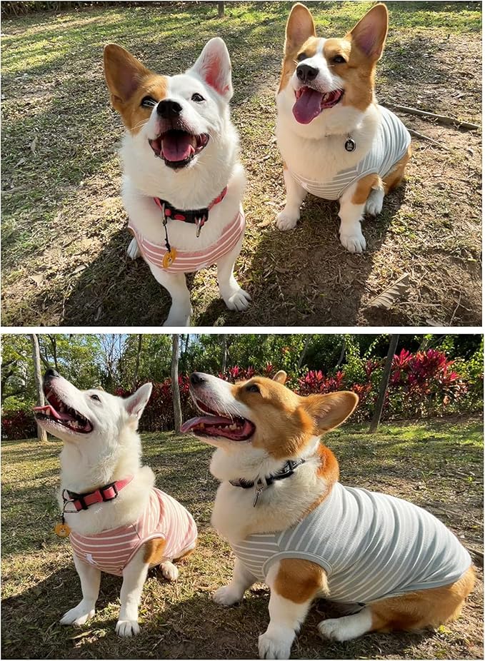Koneseve Dog Vest Lightweight Stretchy Dog T-Shirts Soft Cool Sleeveless Stripe Vests Breathable Clothes for Puppy Kitty Cats Small Medium Large Dogs 2 Pack Pink + Green [ 4XL ]