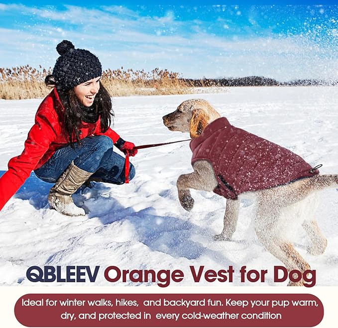 QBLEEV Reversible Dog Jacket for Small Dogs, Waterproof Windproof Warm Winter Coat with Adjustable Fit & Leash Hole, Lightweight Reversible Puffer Vest, Wine Red, S – Fits Yorkie, Shih Tzu