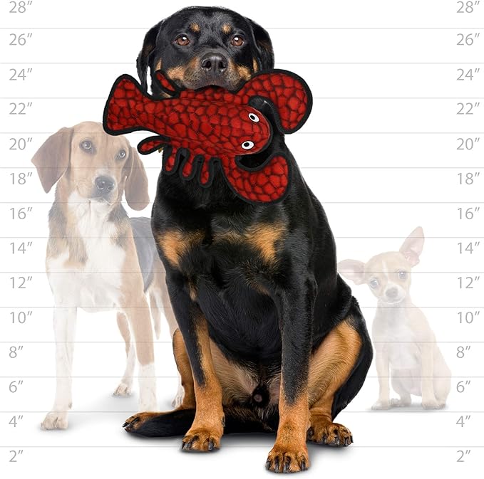 TUFFY - World's Tuffest Soft Dog Toy - Ocean Larry Lobster -Squeakers - Multiple Layers. Made Durable, Strong & Tough. Interactive Play (Tug, Toss & Fetch). Machine Washable & Floats. (Combo Pack)