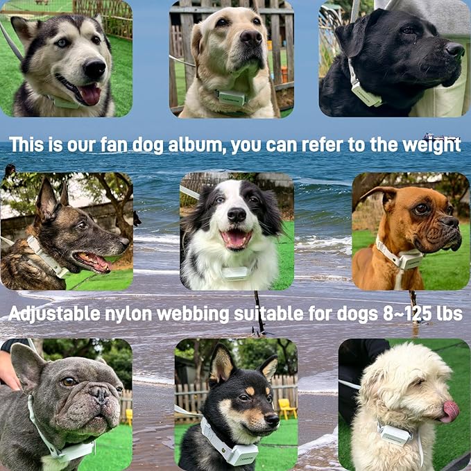 Shock Collar for Dogs [CRS01] 126 Training Levels, 4 Powerful Modes with 2.8-inch LCD high-Definition display100% Safe Training Collar for Large Medium Small Dogs IPX7 Waterproof E Collar