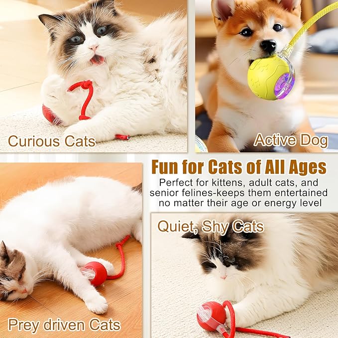Interactive Cat Toys Ball for Indoor Cats, 2025 Newly Upgraded Automatic Rolling Balls, Moving Cat Ball with Elastic Mesh Tail, Kitten Toys for for Bored Indoor Adult Cats/Dog (Yellow)