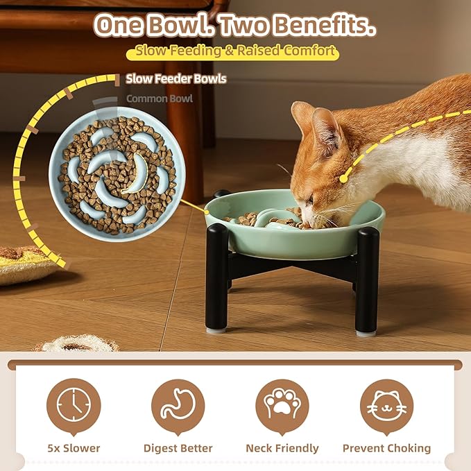 Elevated Slow Feeder Cat Bowl - Ceramic Cat Food Dish with Anti-Slip Stainless Steel Stand - Raised Maze Plate for Slow Eating - Mint Green