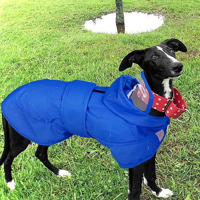 Kuoser Dog Raincoat, Waterproof Dog Rain Jacket with Clear Hooded Double Layer, Lightweight Reflective Dogs Rain Coat with Adjustable Belly Strap, Rain Coats for Small Dogs Outdoor Wear, Blue S