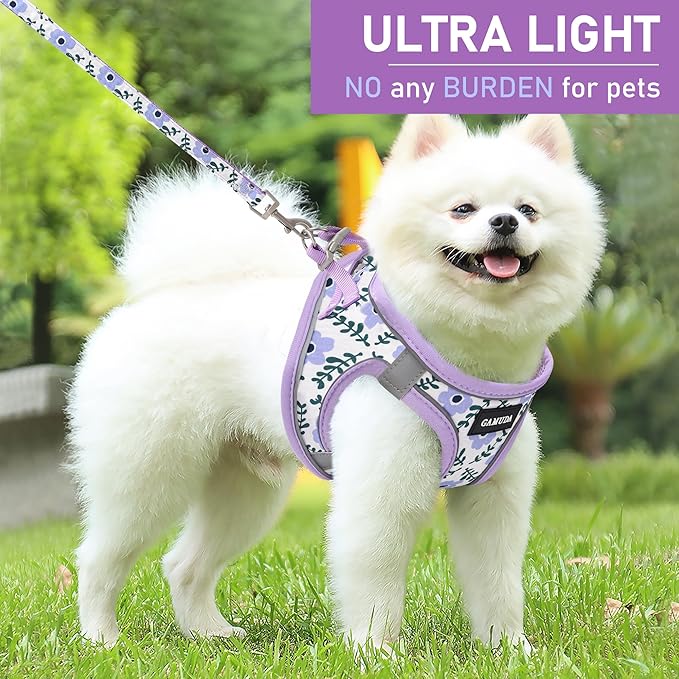 GAMUDA Small Dog Harness Collar and Leash Set, Step in No Chock No Pull Soft Mesh Adjustable Dog Vest Harnesses Plaid Reflective for Dogs Puppy Cats Kitten Rabbit (Purple Flower, S)