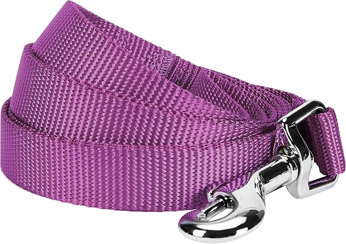 Blueberry Pet Essentials Violet Dog Leash for Medium - 5' * 3/4" Dogs | Heavy Duty Nylon Lead | Lightweight Puppy & Cat Leash for Walking & Training