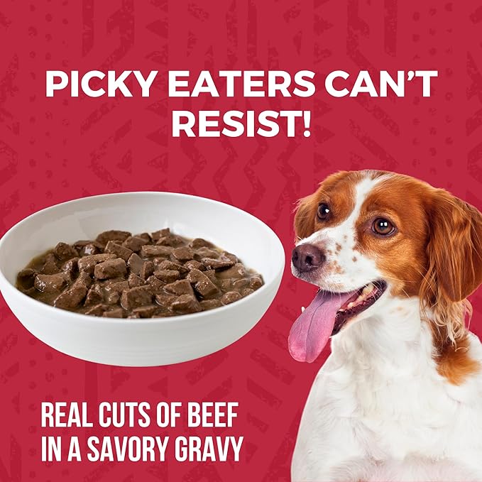 KOHA Minimal Ingredient Beef Stew for Dogs, High Protein Limited Ingredient Dog Food, 12.7oz Cans (Case of 12)