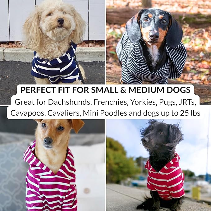 DJANGO Dog Hoodie – Warm, Lightweight, Soft & Stretchy Dog Sweater with Hood, Harness Hole & Elastic Waistband – Cozy Sweatshirt for Small Dogs up to 25 lbs, Dachshunds & Puppies – Blush Pink, X-Small