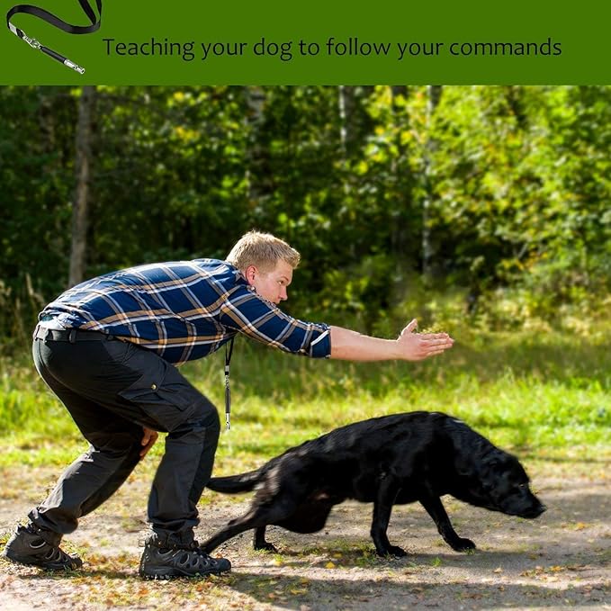 Dog Whistle to Stop Barking, Adjustable Pitch Ultrasonic Training Tool Silent Bark Control for Dogs-1 Free Lanyard Strap with Pack of 1 PCS Pet Whistle