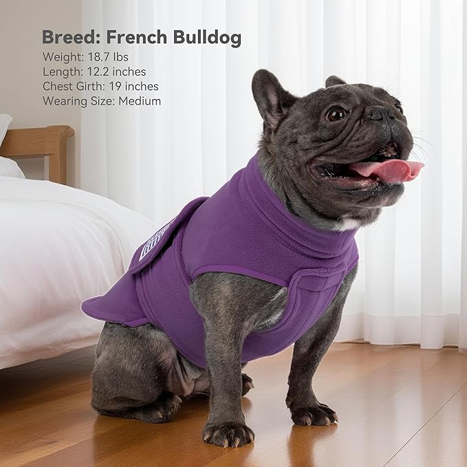 cyeollo Small Dog Sweater, Soft Fleece Sweaters Turtleneck Doggy Sweatshirt Warm Fall Winter Vest Stretchy Pet Clothes for Puppy Soft Doggie Coat Girl & Boy, Purple S