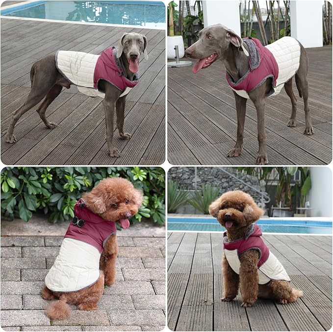 Detachable Hooded Dog Coat with Harness for Small Dogs,Super Warm Fleece Puppy Jacket for Cold Winter Doggie Coats,Red M