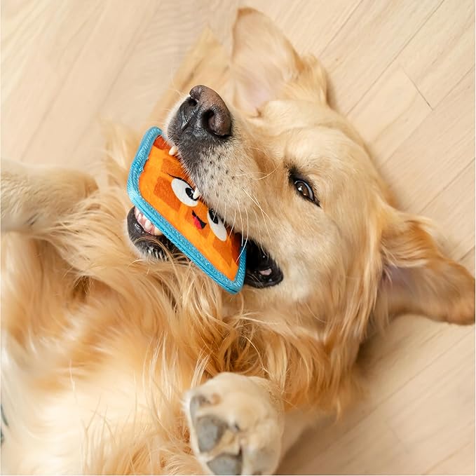 Outward Hound Tough Skinz Durable Squeaky Dog Toy with Two Tough Layers, Waffle, Multicolor, Small