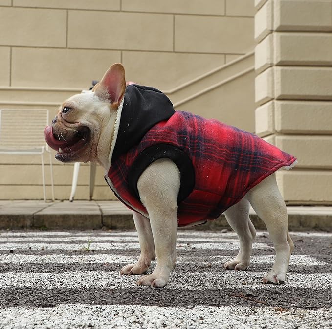 Fleece Lining Dog Hoodie for Small Dogs Extra Warm Plaid Sweater with Drawstring Hooded Coats in Winter Puppy Jacket,Red M