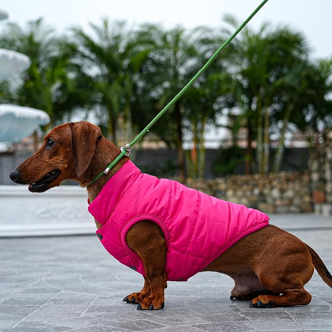 2 Layers Fleece Lined Warm Dog Jacket for Winter Cold Weather,Soft Windproof Large Dog Coat,Pink XXXL