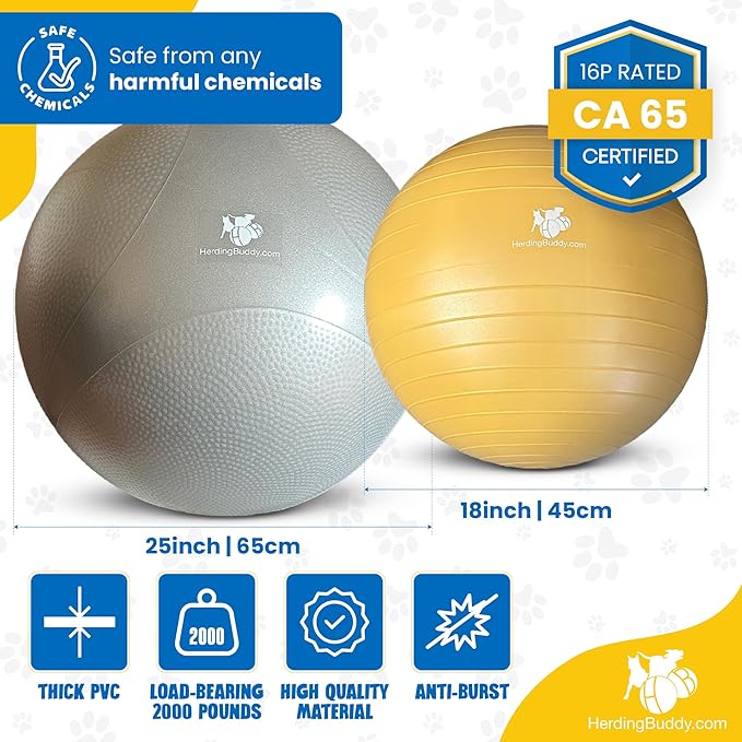 Herding Ball for Dogs - 18” Cover for Corgi, Collie, Cattle & All Herding Dogs Under 27 Pounds - Heavy Duty Dual Layered Cover - Thick Anti-Burst Inner Ball - High Flow Foot Pump