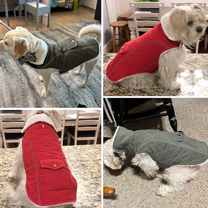 Malier Dog Winter Coat, Large, Red - Windproof, Extra Warm, Reflective Clothes for Small Medium Large Dogs and Puppy