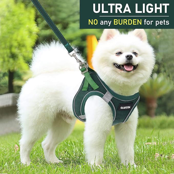 GAMUDA Small Pet Harness Collar and Leash Set, Step in No Chock No Pull Linen Fabric Soft Mesh Dog Vest Harnesses Reflective for Dogs Puppy Cats Kitten Rabbit (Green, M)