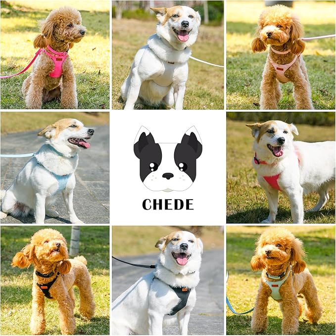 No Pull Dog Harness- Lightweight, Soft, Adjustable Small Harness Collar and Leash Set, Suitable for Cats Puppy Small and Medium-Sized Dog Outdoor Training and Running (Brown, S)