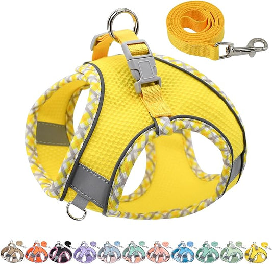 AIITLE Dog Harness and Leash Set - Ultra-Comfortable XXS-XL Vest with Strong Magic Tape & Glow-in-Dark Reflective Strips, Chafe-Free for Teddy, Schnauzer (Yellow, M)