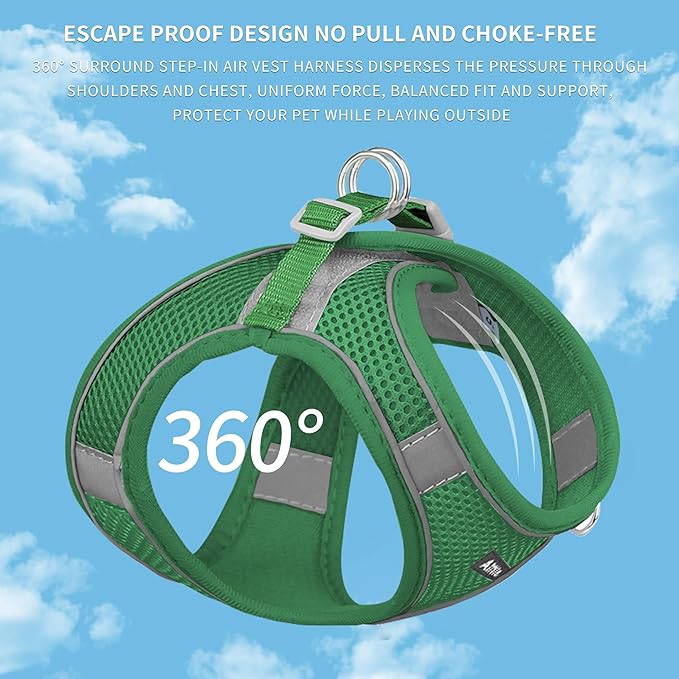AIITLE Small Harness for Puppy with A Leash - Summer Dog Vest Harness with Super Breathable Mesh, Reflective No-Pull Pet Harness for Outdoor Walking, Camping for Small Dogs, Cats Green XXS