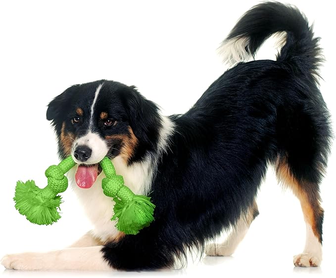 Playology Dog Toys | Dri-Tech Rope Toy Tug of War Rope for Aggressive Chewers | Medium Sweet Potato Scented Toy - Easy to Clean and Made from Non Toxic Materials