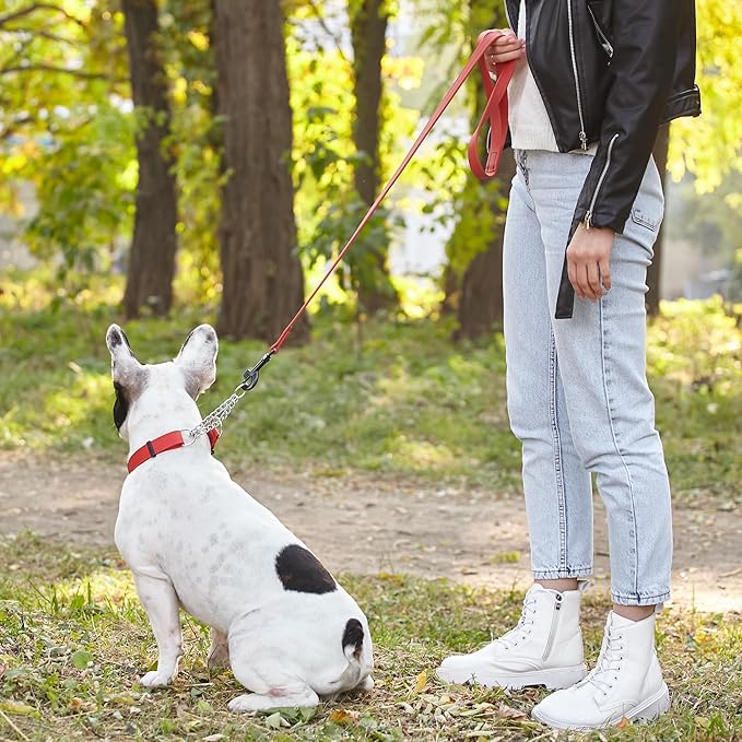 Dogline Biothane Waterproof Dog Leash Strong Coated Nylon Webbing with Black Hardware Odor-Proof Easy to Clean High Performance for Small or Large Dogs Made in USA 4 or 6 ft Lead, Cherry Red