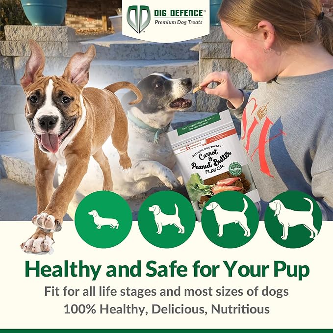 Dig Defence Premium Dog Treats - Carrot and Peanut Butter, Natural Ingredients, Baked Gourmet Snacks for Small & Big Dogs, Healthy Training Treat, 2 Pack