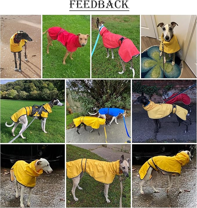 Dog Raincoat with Reflective Bar, Rain/Water Resistant, Adjustable Vest - Dog Raincoats for Greyhounds, Lurchers and Whippets - Red - XXL