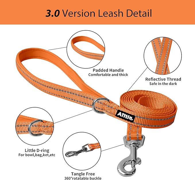AIITLE Step in Dog Harness and Leash Set - Summer No Pull Escape Proof Vest Harnesses with Soft Mesh and Reflective Bands, Adjustable Pet Outdoor Harnesses for Small and Medium Dogs Orange M