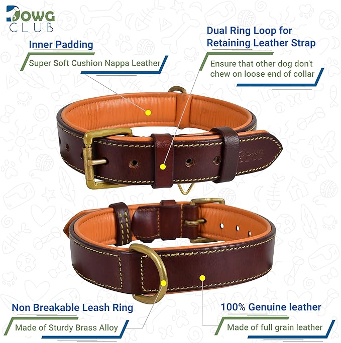 Leather Dog Collar | Leather Collar for Extra Large Dogs, 1.5 Inch Wide Brown Dog Collar | Genuine, Full Grain, Heavy Duty, Comfortable, Padding | (X-Large (Fit Neck Size 22"-26"), Brown)