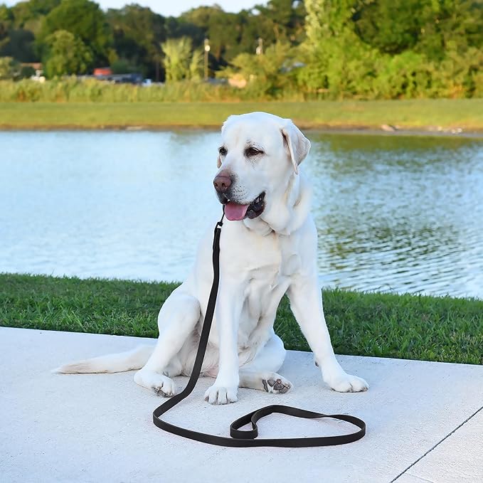 Dogline Biothane Waterproof 4ft Dog Leash Strong Coated Nylon Webbing with Black Hardware Odor-Proof Easy to Clean High Performance for Small or Large Dogs Made in USA 4ft Lead, Black