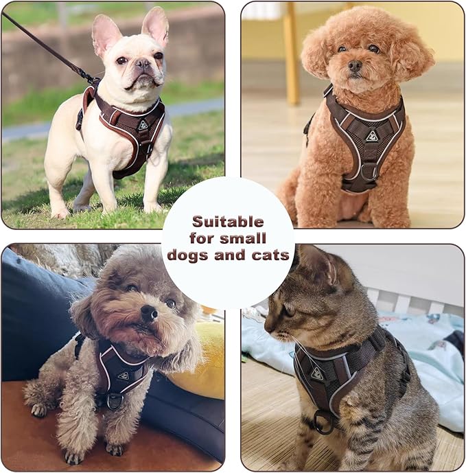 SOLMOONY Small Dog Harness,Soft Mesh Puppy Harness and Leash Set,No Escape Cat Harnesses for Training Walking,Reflective Adjustable Puppy Vest for Small Medium Dogs, Cats (Brown, XL)