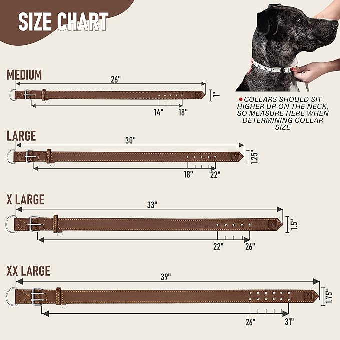 Riparo Dog Collar - Genuine Leather Dog Collars - Heavy Duty Dog Collars for Medium Large and Extra Large Dog Breeds (L: 1.25” Wide for 18” - 22” Neck, Brown)