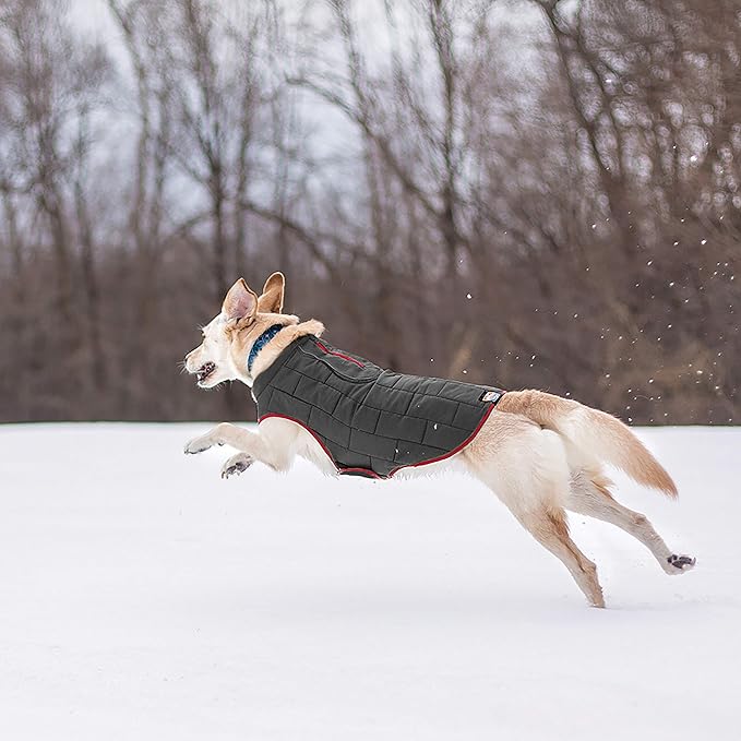 Kurgo Loft Dog Jacket - Reversible Cozy Coat for Outdoor Adventures - Water Resistant - Athletic Fit - Machine Washable Fabric - Reflective Dog Gear - Medium - Chili Red
