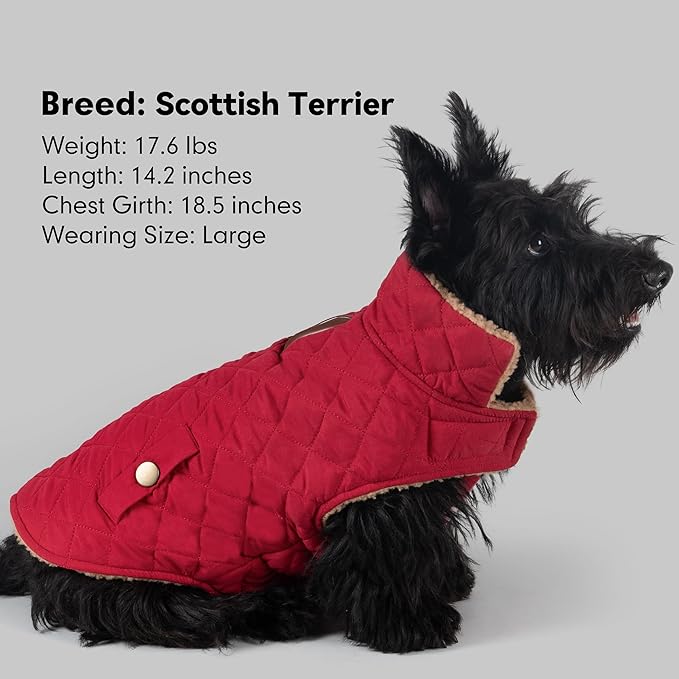 azuza Dog Jacket for Large Dogs Waterproof & Windproof Dog Coat for Small Dogs with Thick Fleece, High Collar with Leash Hole, Adjustable Velcro & Elastic Belly, Red 3XL