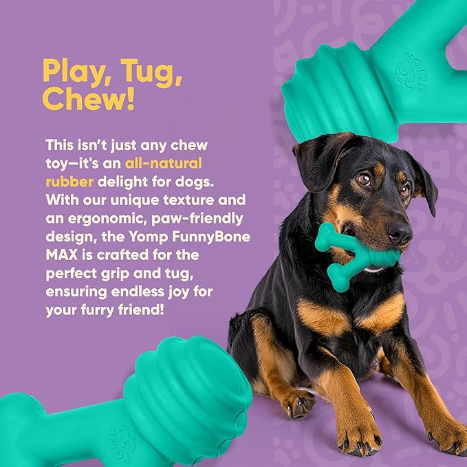 Yomp FunnyBone MAX: All-Natural Rubber Dog Toy, Nontoxic, Safe for Pet Play (Teal)