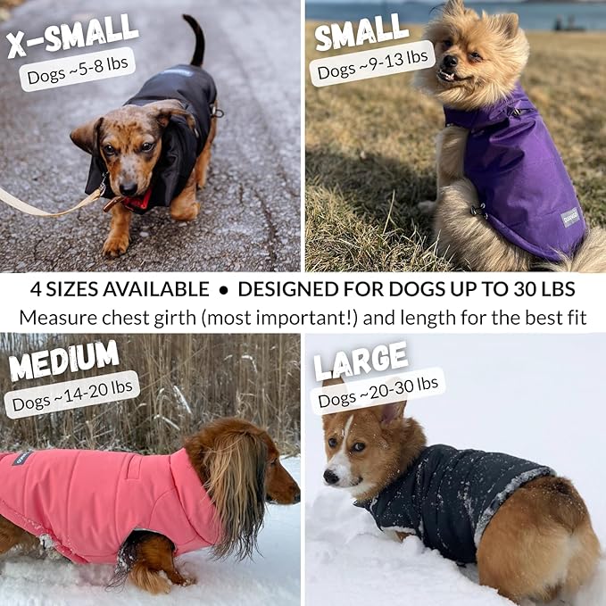 DJANGO Puffer Dog Coat – Warm Winter Dog Jacket & Water-Repellent Insulated Puffer Vest with Striped Lining, Harness Hole, Adjustable Fit for Small & Medium Dogs, Dachshunds – Sea Foam Green, X-Small