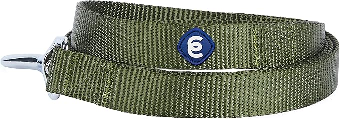 Blueberry Pet Essentials Military Green Dog Leash for Medium - 5' * 3/4" Dogs | Heavy Duty Nylon Lead | Lightweight Puppy & Cat Leash for Walking & Training