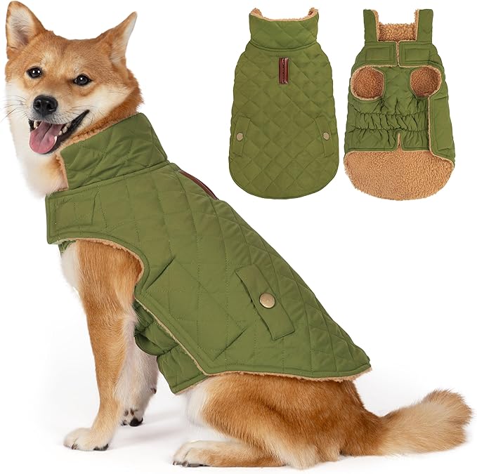 Dog Coat, Warm Winter Dog Waterproof Jacket for Medium Dogs, Fleece Lined Adjustable Dogs Coats Cold Weather Windproof Doggie Snowsuit with Leash Hole, Green X-Large