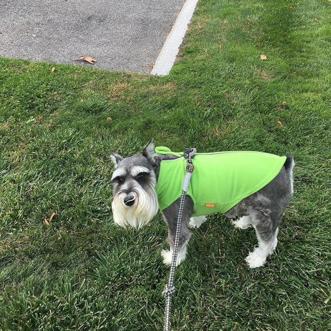 Gooby Zip Up Fleece Dog Sweater - Lime, Small - Warm Pullover Fleece Step-in Dog Jacket with Dual D Ring Leash for Small to Medium Dogs