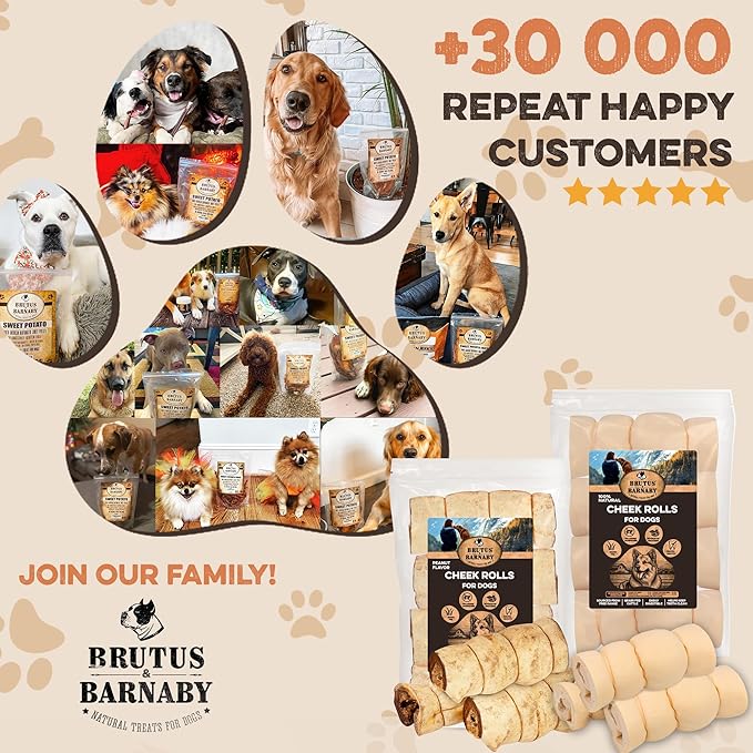 Premium Beef Cheek Rolls for Dogs 10-12" - (5-Pack), Peanut Butter Flavored Long Lasting, Safe & Natural Rawhide Alternative Chews, Ideal for Large Dogs & Aggressive Chewers, Supports Dental Health