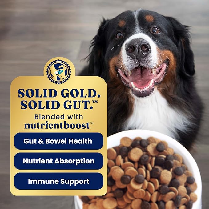 Solid Gold Lamb Dog Food Dry for Adult & Senior Dogs– High Protein Healthy Dog Kibble for Medium & Large Breeds – Whole Grain, Omega 3 & Probiotics for Gut Health & Digestion – Nutrientboost™ –22LB