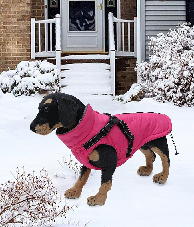 Winter Warm Coat Geyecete Waterproof Dog Winter Jacket with Harness Traction Belt,Pet Outdoor Jacket Dog Autumn and Winter Clothes for Medium, Small Dog-Pink-S