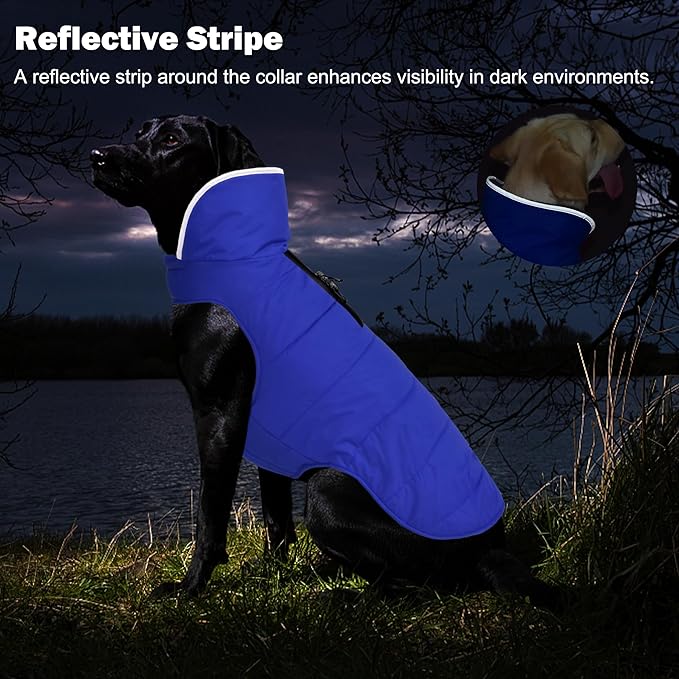 Dog Winter Coat, Waterproof Dog Jacket with Leash Hole, Reflective Adjustable Pet Snow Vest, Warm Fleece Sweater for Small Medium Large Dogs - Blue, M
