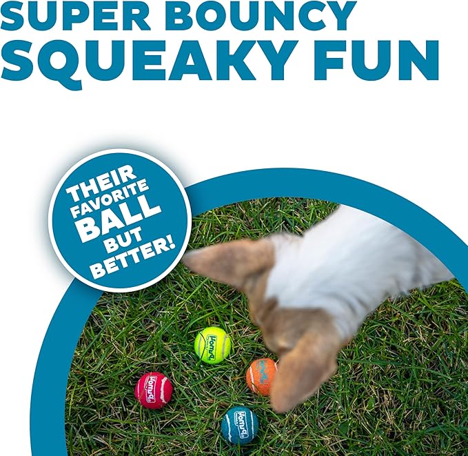 Outward Hound Squeaker Ballz 4-Pack Tennis Ball Dog Toys with Squeaker, Interactive Fetch Play for Pets Under 15 lbs, Training Balls for Indoor & Outdoor Exercise, X-Small, 1.5-inch
