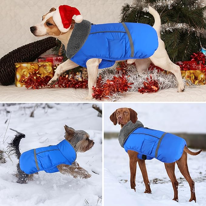 Dogcheer Warm Dog Coat, Waterproof Dog Jacket Christmas Puppy Winter Coat with Buckle, Reflective Adjustable Pet Snow Jacket Turtleneck Fleece Sweater for Small Medium Large Dogs - Blue, M
